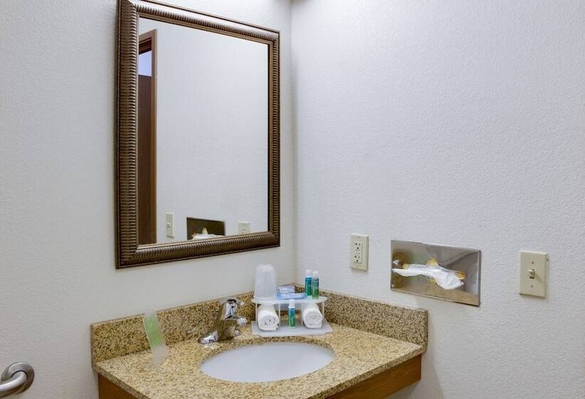 Номер Стандарт, Holiday Inn Express Hotel & Suites   Dubuque West, An Ihg