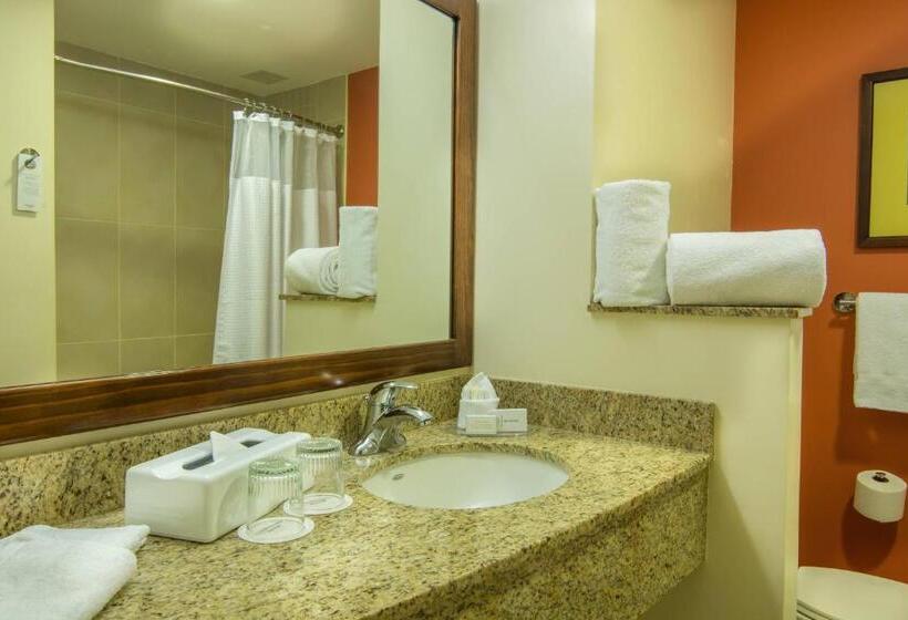 اتاق استاندارد با تخت بزرگ, Courtyard By Marriott San Jose Airport Alajuela