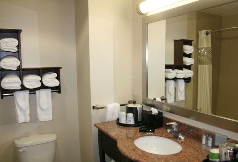 Номер Стандарт, Hampton Inn & Suites New Iberia Avery Island