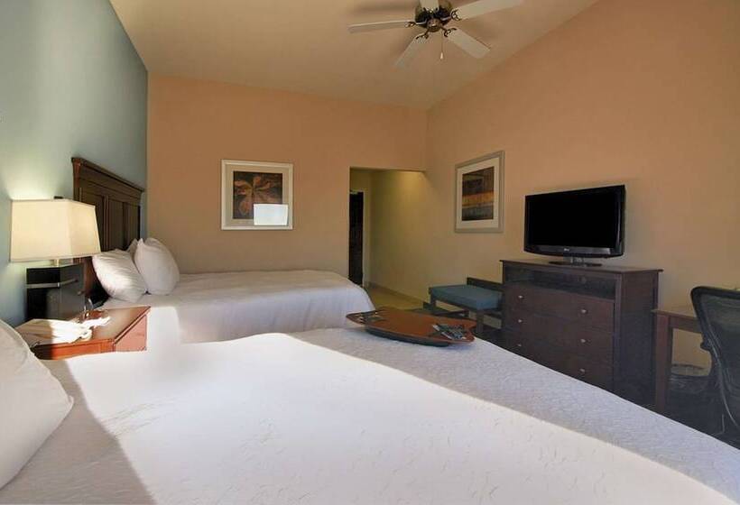 Номер Стандарт, Hampton Inn & Suites New Iberia Avery Island