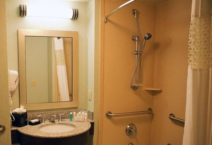 Номер Стандарт Адаптированный для Инвалидов, Hampton Inn Colby