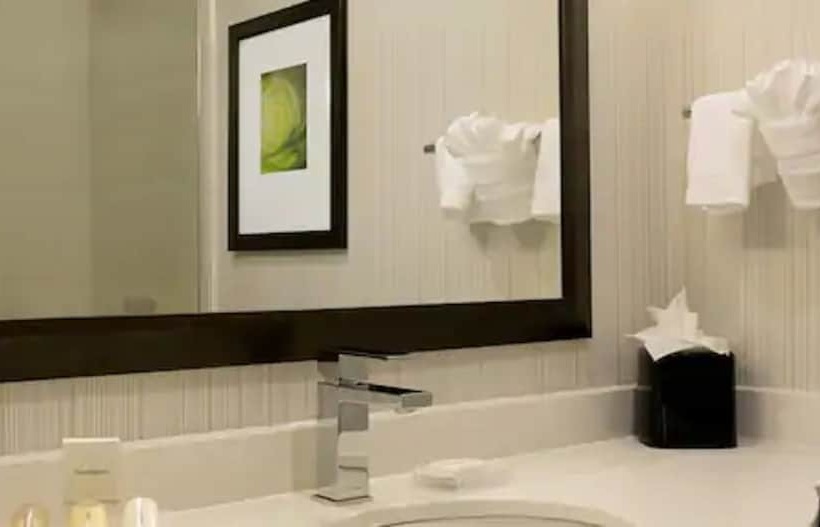 Номер Deluxe, Hilton Garden Inn New York/manhattanmidtown East