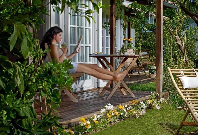 Номер Стандарт, Olympos Lodge