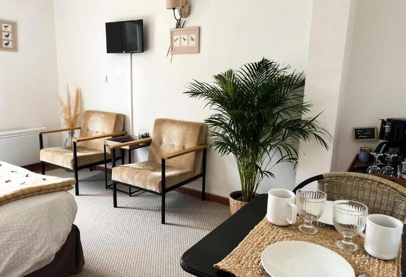 اتاق استاندارد با وان آب گرم, La Villa Saint Val
