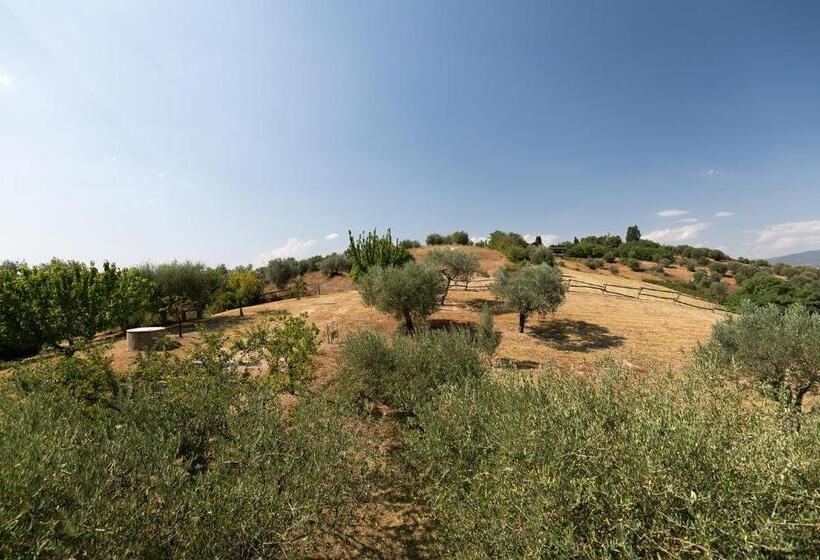 ویلای 1 خوابه, Tenuta Colle Sala   Country House & Suites