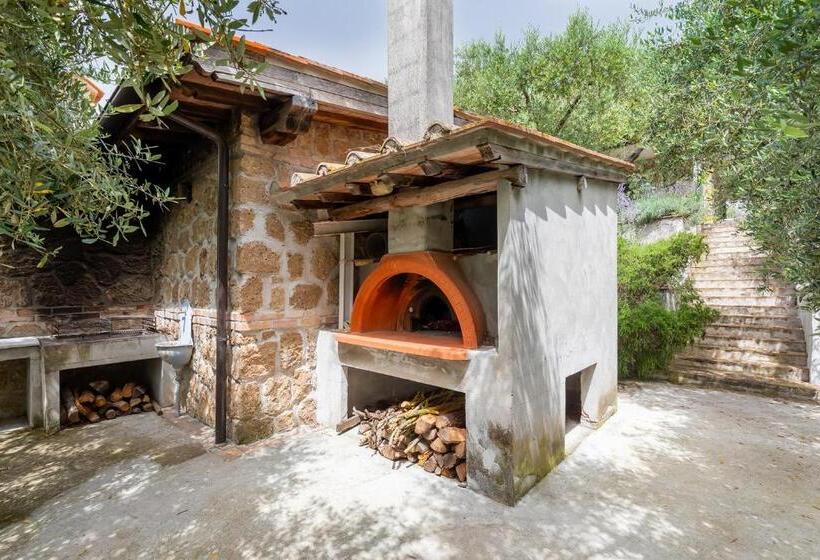 سوییت با چشم‌انداز باغ, Tenuta Colle Sala   Country House & Suites