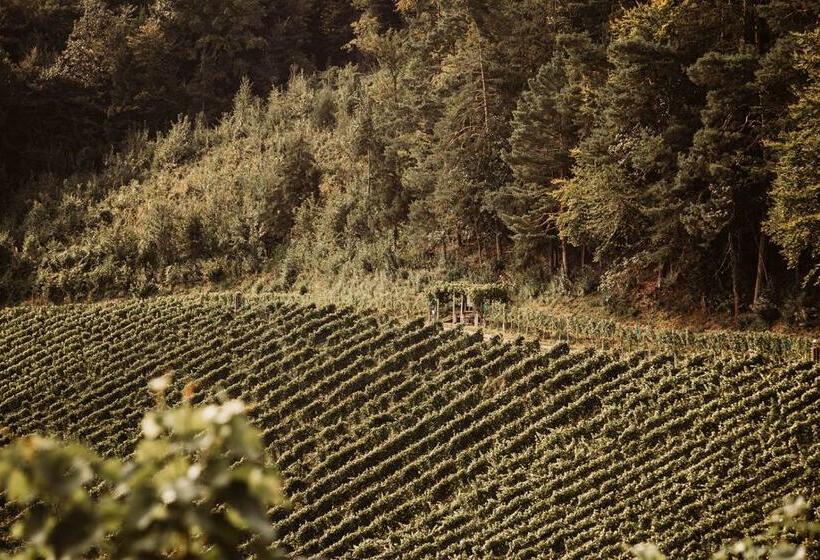 Номер Стандарт Адаптированный для Инвалидов, Weingut Kollerhof Am Eichberg