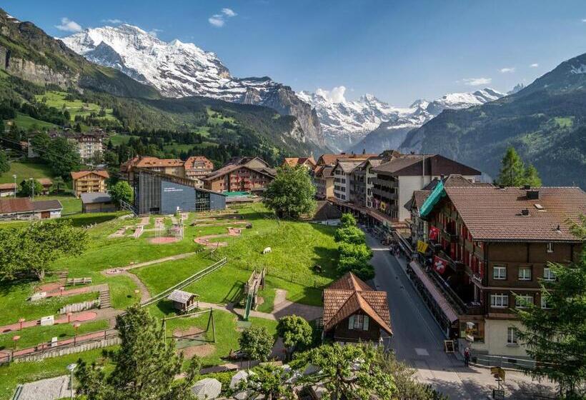 اتاق سوپریور با چشم‌انداز کوهستان, Schonegg