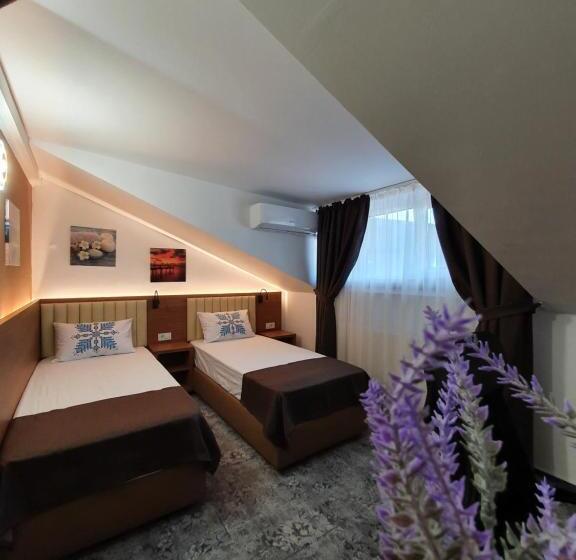 اتاق استاندارد, Stay Inn Rediu