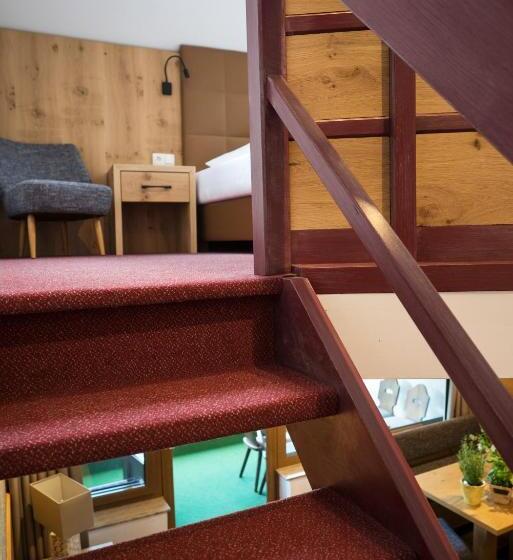 آپارتمان دوبلکس 1 خوابه, Aparthotel Schindlhaus Und Koia Premium Apartments