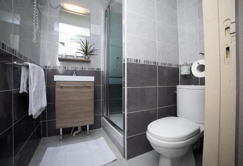 Номер Стандарт Трехместный, Logis Hôtel Le Carnot