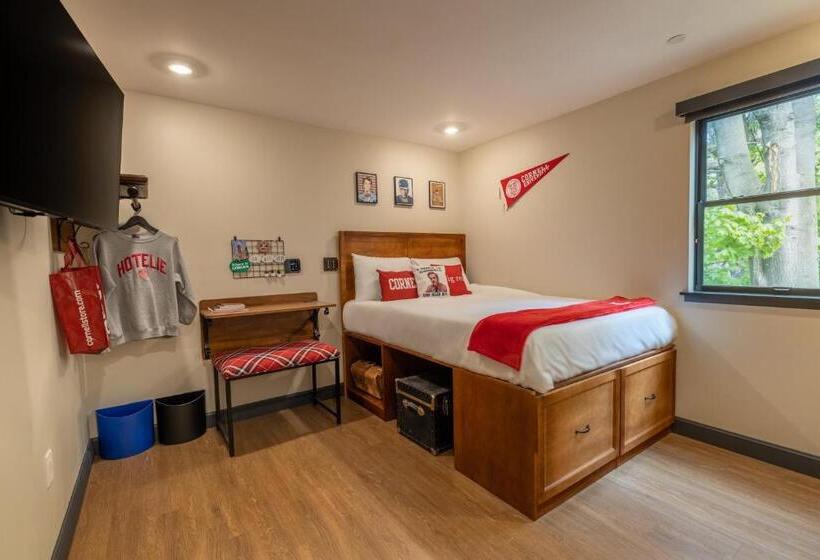 Номер Стандарт, The Dorm