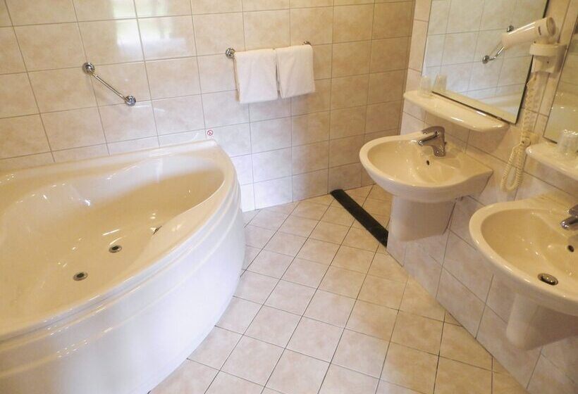 Люкс, Fletcher Landgoedhotel Renesse
