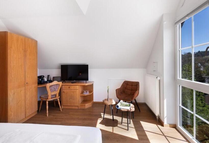 컴포트 룸, Bodensee Hotel Storchen