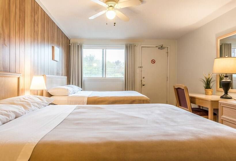 스탠다드 룸 더블 침대 2개, Lake City Motel