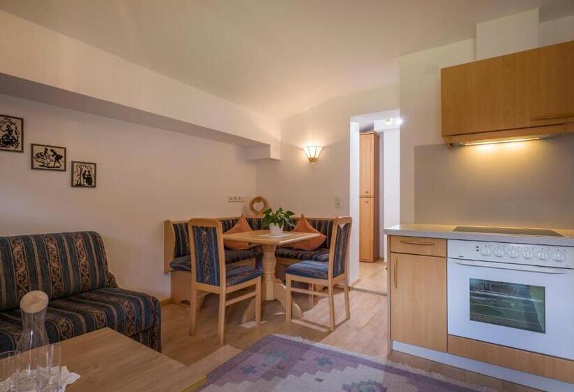 Апартаменты 1 Спальня с Видом, Appartement Hotel Garni Matthäuserhof