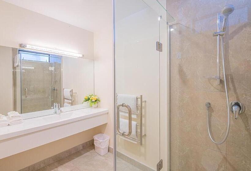 스탠다드 스튜디오, Auckland Newmarket Motel