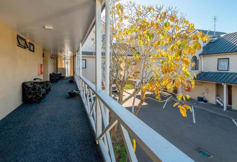 스탠다드 스튜디오, Auckland Newmarket Motel