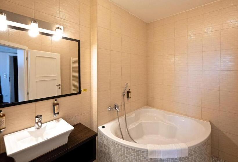 비즈니스룸, Grand Hotel Trenčin
