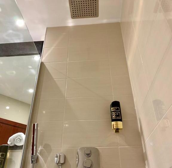 Номер Deluxe Одноместный, Residenz Babenhausen