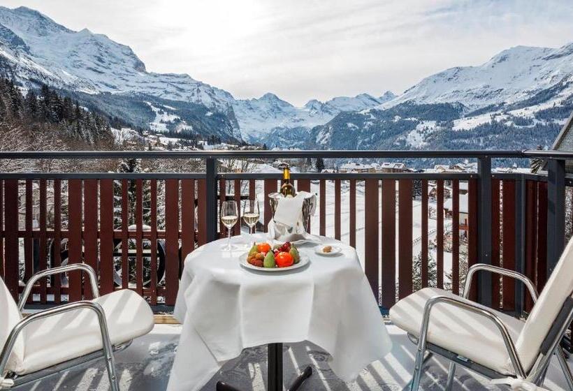 اتاق استاندارد با چشم‌انداز کوهستان, Beausite Park Hotel & Spa