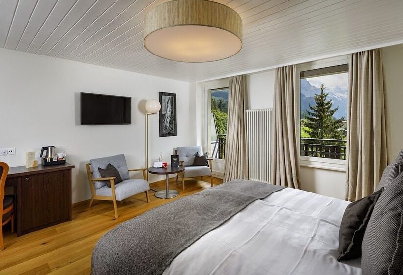 اتاق استاندارد با چشم‌انداز کوهستان, Beausite Park Hotel & Spa