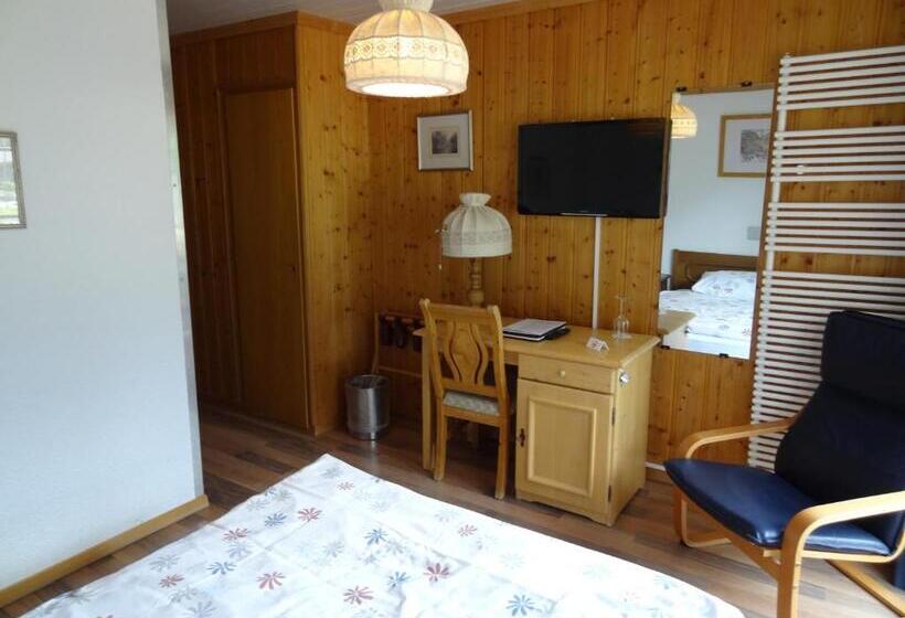 Номер Стандарт Индивидуальный, Chalet Hotel Adler Ag