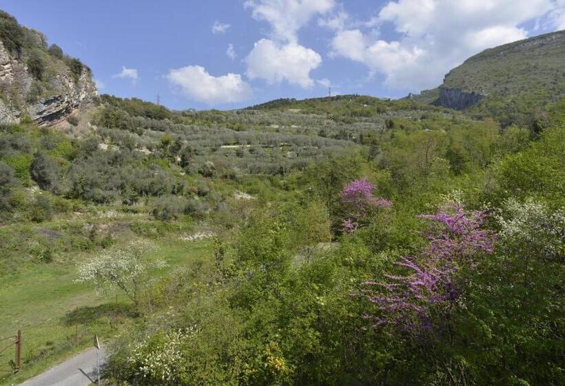 اتاق استاندارد, Seele Garda
