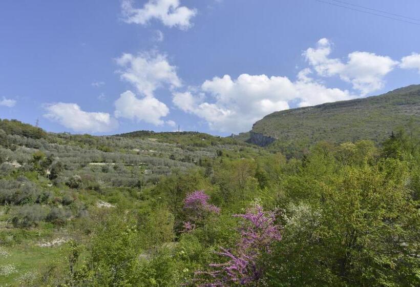 اتاق لوکس, Seele Garda