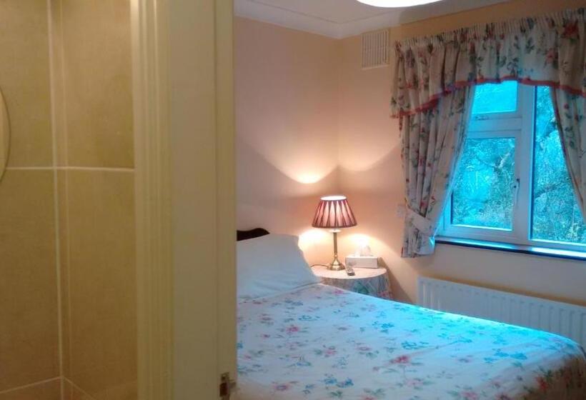 Номер Стандарт Совместная Ванная, Corrib View Guesthouse H91rr72