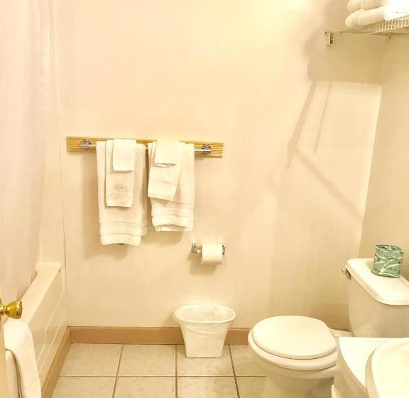 Дом 3 Спальни, Saco River Motor Lodge & Suites