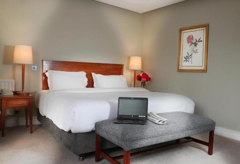 اتاق استاندارد, Ballymascanlon Hotel And Golf Resort