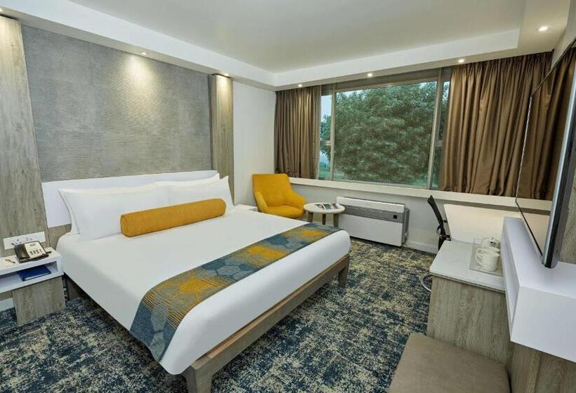 اتاق استاندارد با تخت بزرگ, Garden Court Mthatha