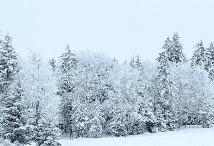 Апартаменты 1 Спальня, Snowshoe Ski In & Ski Out At Silvercreek Resort   Family Friendly, Jacuzzi, Hot Tub, Mountain Views