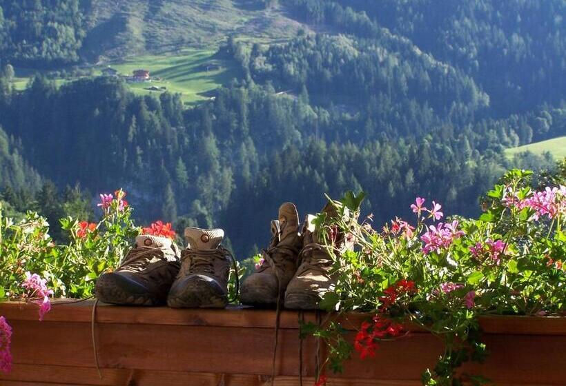 اتاق استاندارد, Aktivhotel Alpendorf