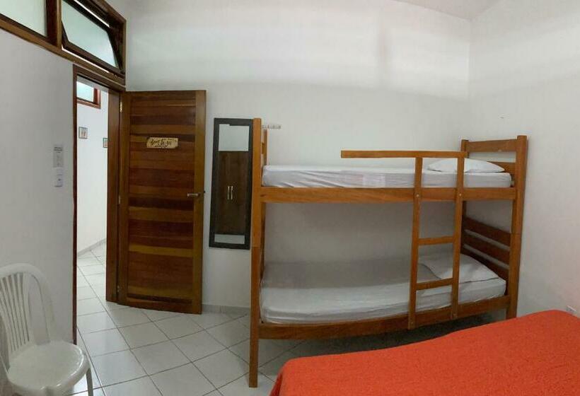 اتاق استاندارد چهار تخته, Villa Nevada Hostel