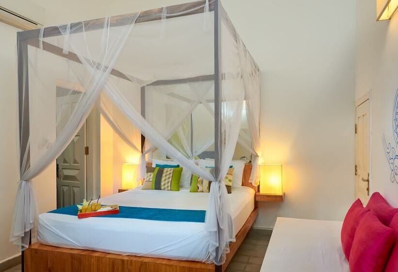 غرفة قياسية, Blue Lime