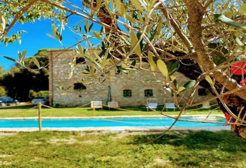Дом 1 Спальня, Exclusive Pool Open All Year Spoleto Biofarm Slps 8 Village Shops, Bar1 Km 3