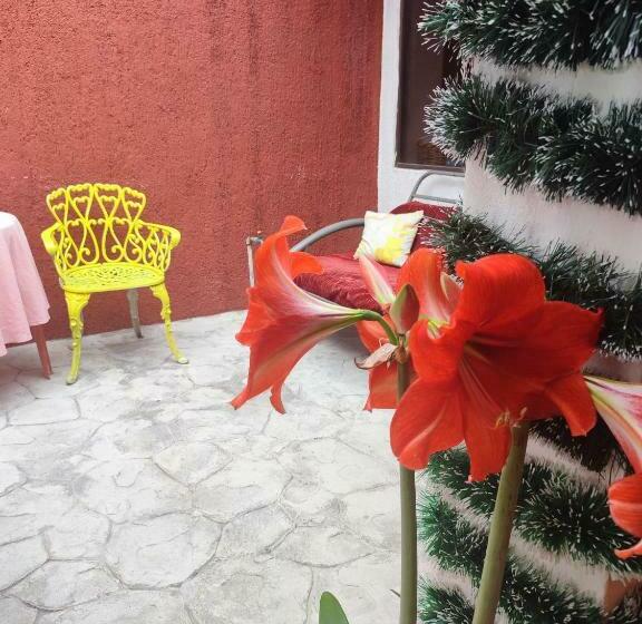 اتاق استاندارد, El Hogar Del Viajero Hostel