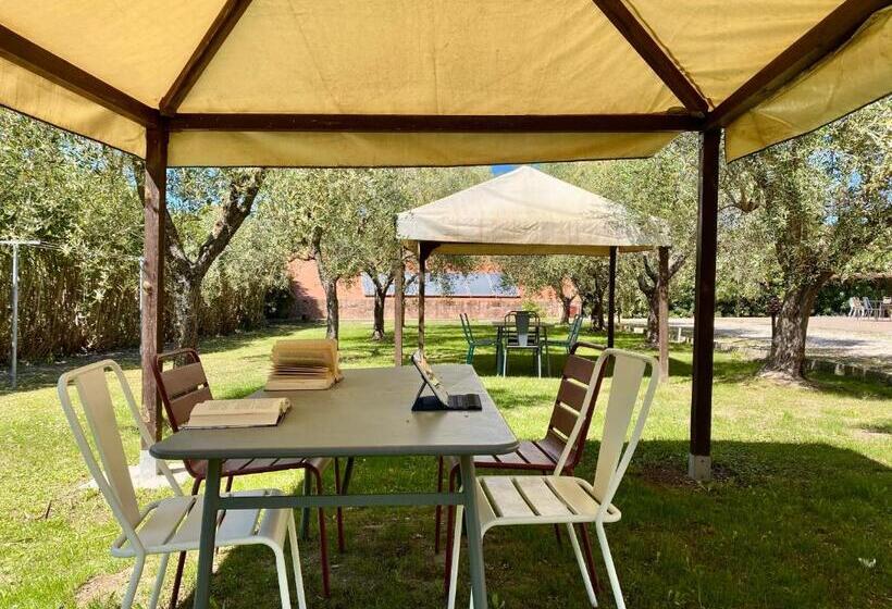 آپارتمان سوپریور 1 خوابه, Residence Terme Isola D Elba Srl