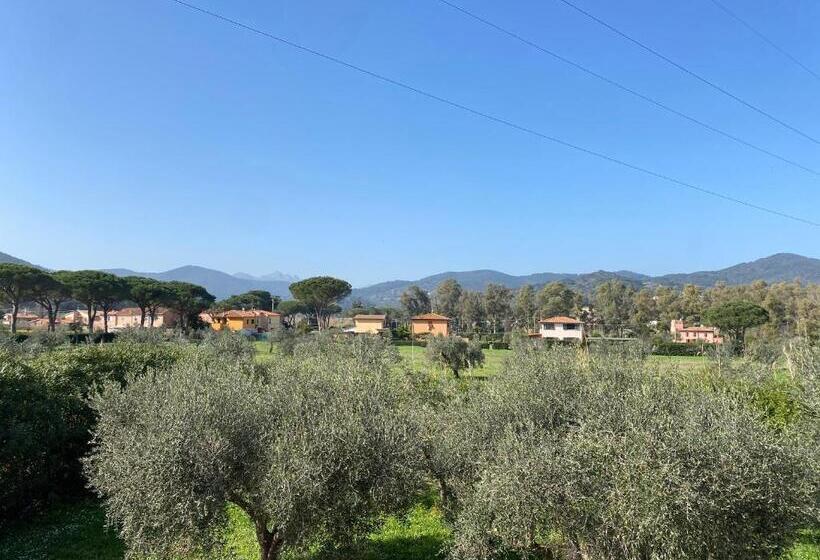 آپارتمان 1 خوابه, Residence Terme Isola D Elba Srl