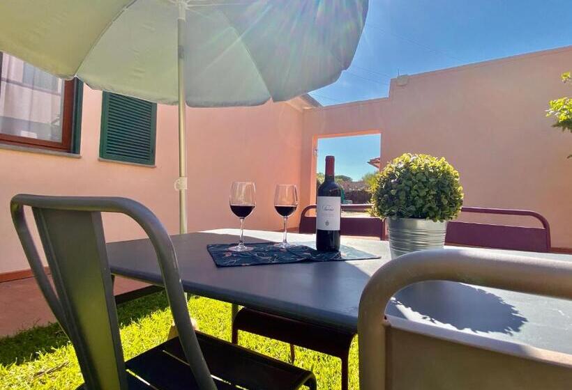 استودیوی استاندارد, Residence Terme Isola D Elba Srl