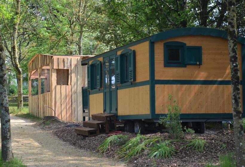Семейный Номер, Le Camp Du Fauconnier
