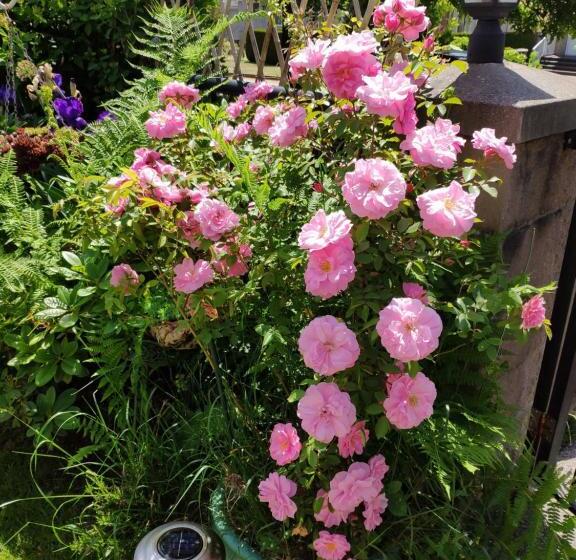 منزل غرفة نوم واحدة, Helen S House / Close To Skytrain And Airport