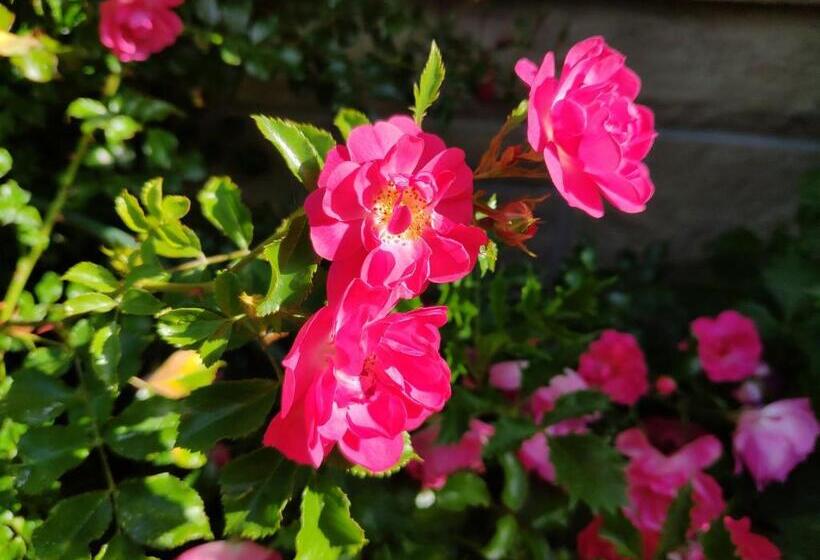 غرفة قياسية فردية, Helen S House / Close To Skytrain And Airport