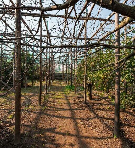 Апартаменты 1 Спальня Вид на Сад, Pane E Marmellata
