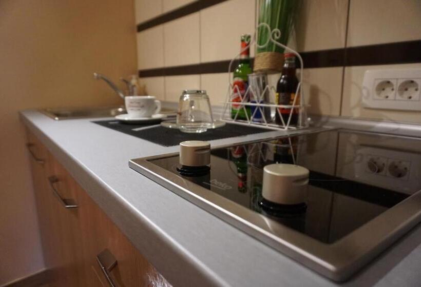 اتاق استاندارد, Rooms And Apartment Soča Kobarid