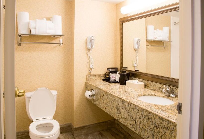 Люкс, Best Western Executive Inn & Suites