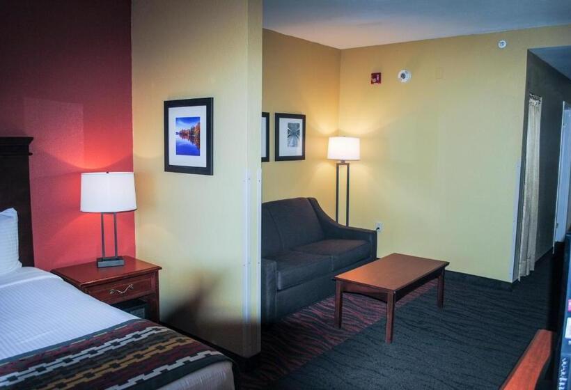 Номер Стандарт Кровать Кинг Адаптированный для Инвалидов, Best Western Executive Inn & Suites