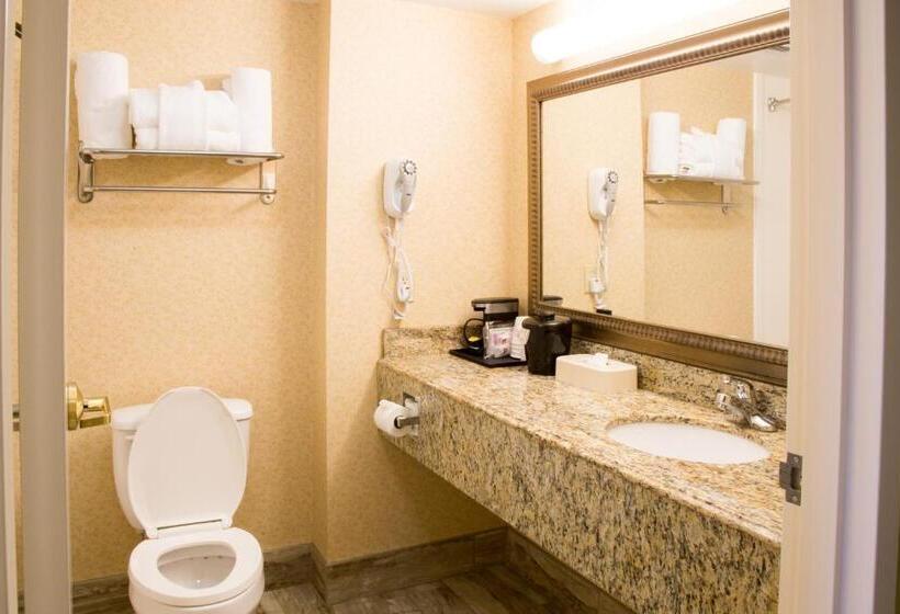 Номер Стандарт Адаптированный для Инвалидов, Best Western Executive Inn & Suites
